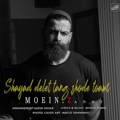 Shayad Delet Tang Shode Toam Moein Z